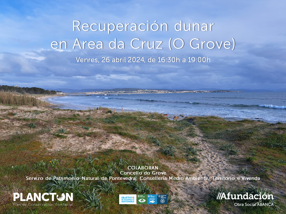 PLANCTON 2024. Recuperación dunar en Area da Cruz (O Grove)