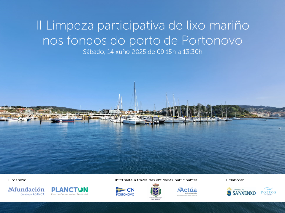 PLANCTON 2025: limpeza de lixos mariños nos fondos do Porto de Portonovo