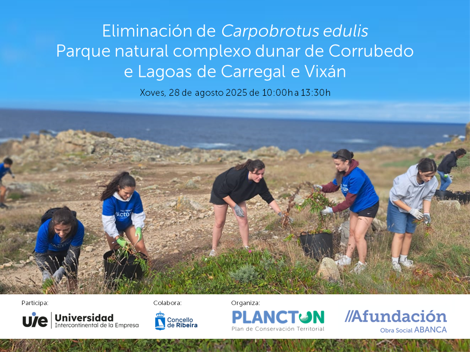PLANCTON 2025: eliminación de flora exótica invasora no Parque Natural de Corrubedo e lagoas de Carrexal e Vixán, coa participación da Univeridade Intercontinental da Empresa
