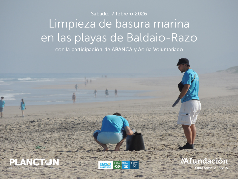 PLANCTON 2026 Baldaio Razo