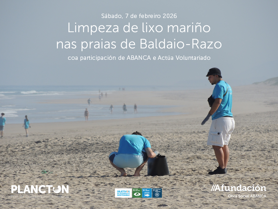 PLANCTON 2026 Baldaio Razo