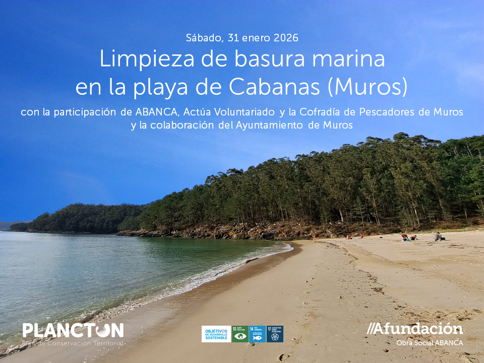 PLANCTON 2026_Muros