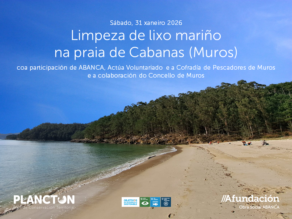 PLANCTON 2026_Muros