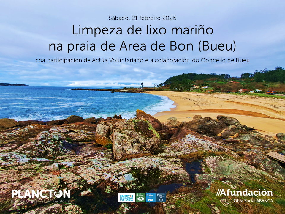 PLANCTON 2026: retirada de lixo mariño na praia de Area de Bon, Bueu.
