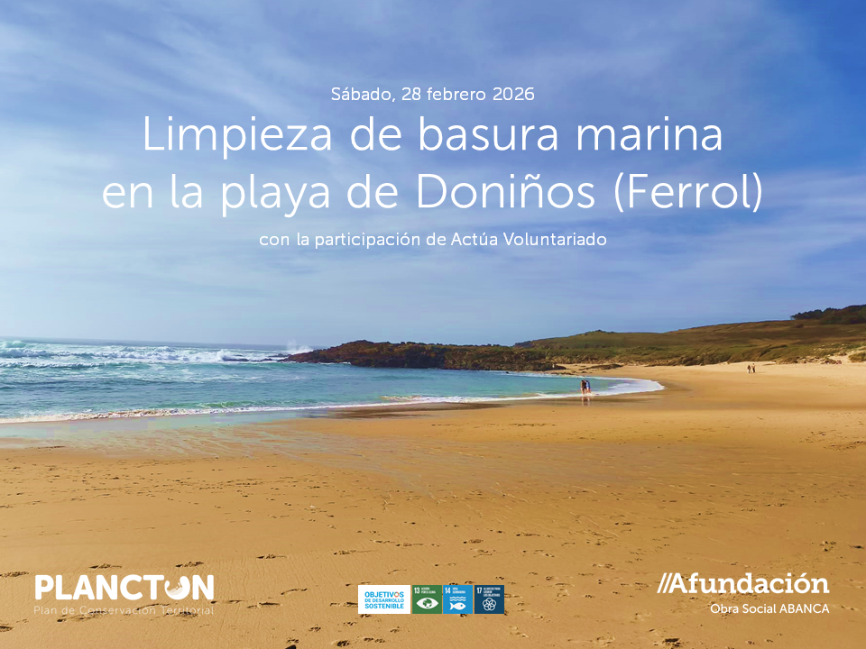 PLANCTON 2026: limpieza de basura marina en la playa de Doniños