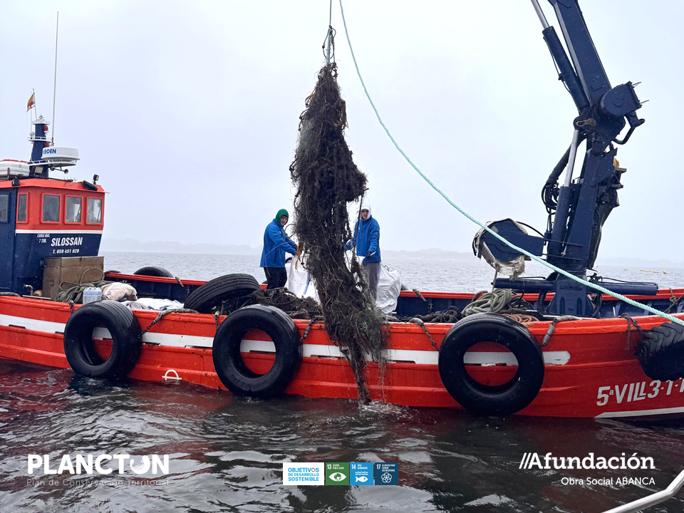 PLANCTON 2026_Afundación_Areoso e Pedregoso