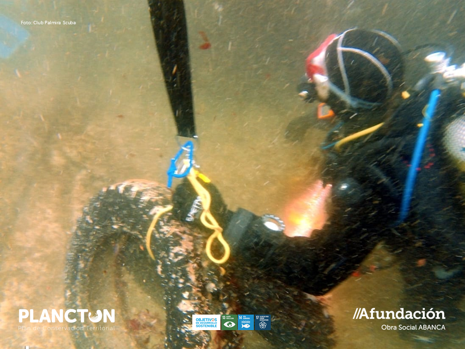 PLANCTON 2026: limpeza nos guidoiros Areoso e Pedregoso