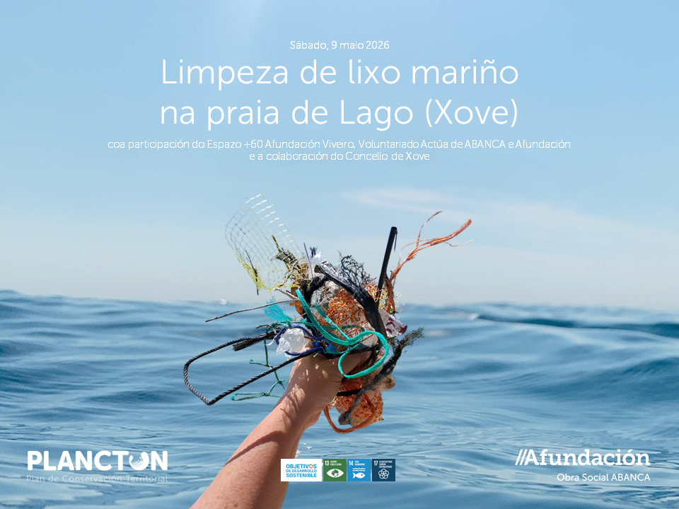 PLANCTON 2026: limpeza de lixo mariño na praia de Lago, en Xove.