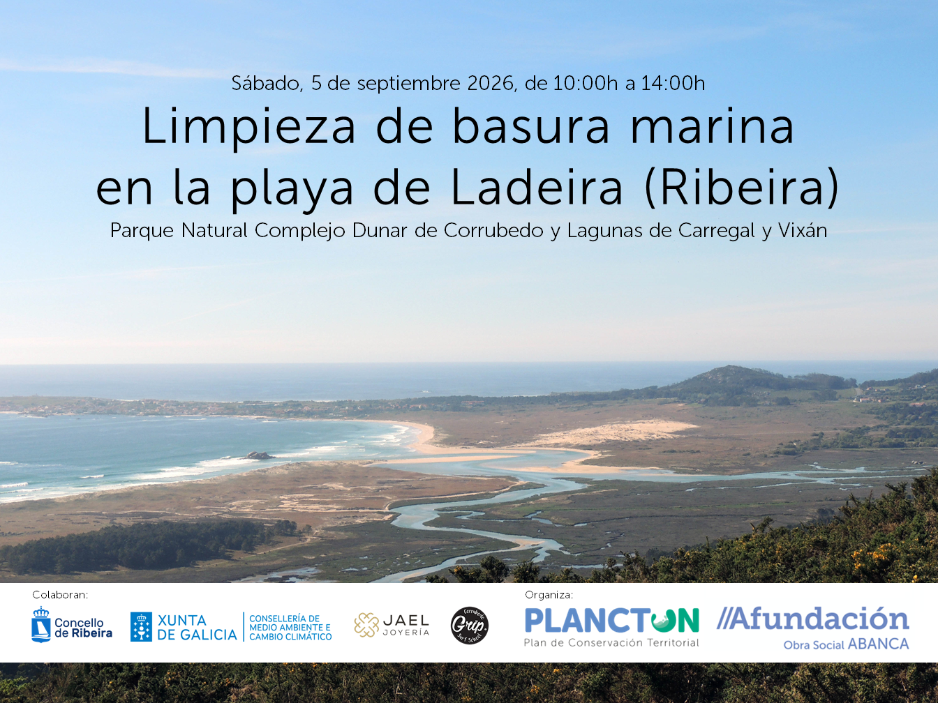 PLANCTON 2026: limpieza de basura marina en la playa de Ladeira, Corrubedo.