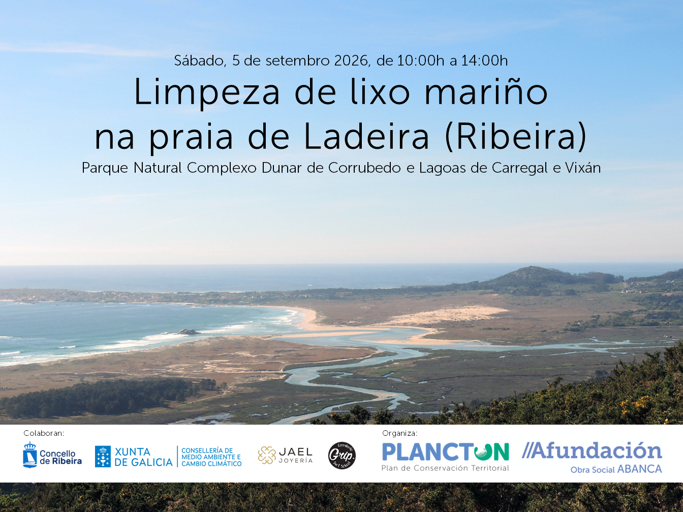 PLANCTON 2026: retirada de lixos mariños na praia de Ladeira en Corrubedo (Ribeira)