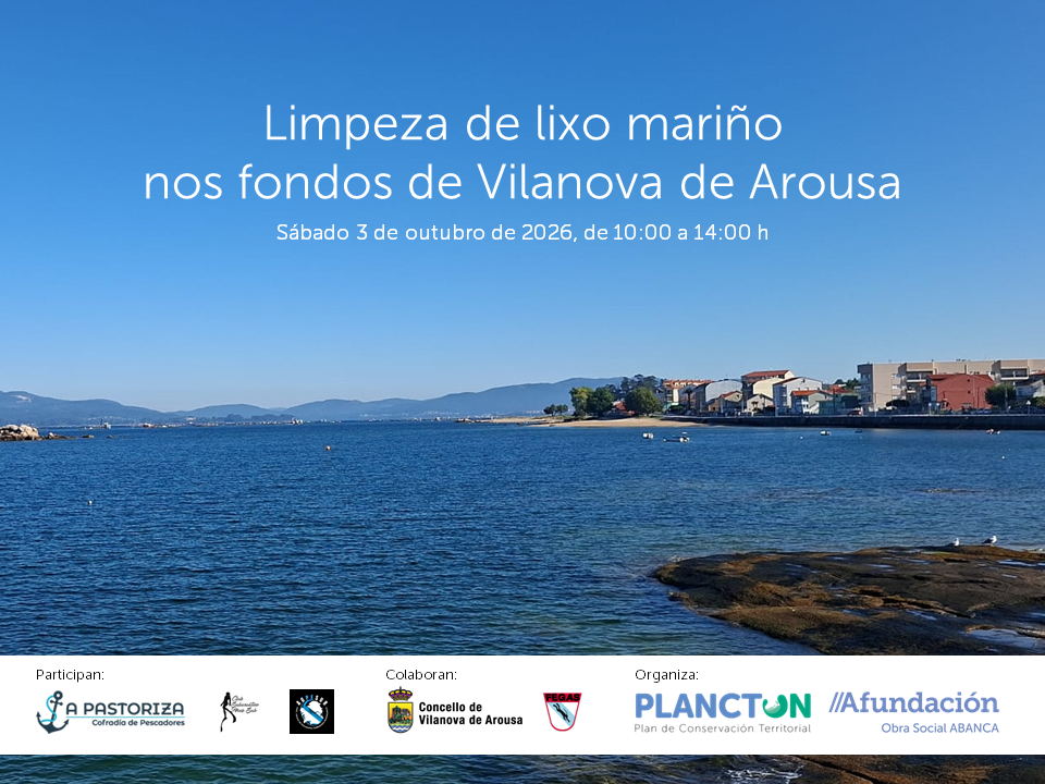 PLANCTON: limpeza de lixo mariño nos fondos de Vilanova de Arousa