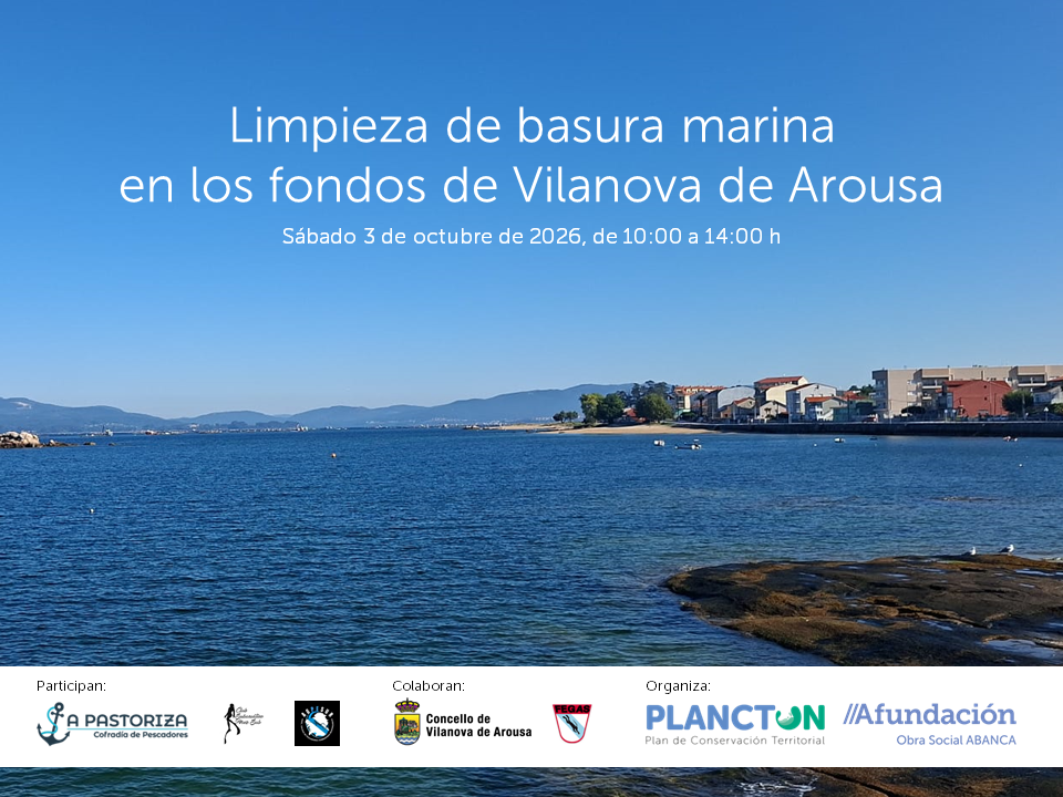 PLANCTON 2026: limpieza de fondos en Vilanova de Arousa
