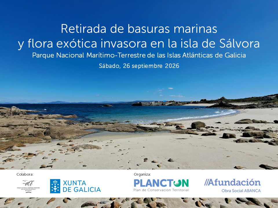 PLANCTON 2026: retirada de basura marina y flora exótica invasora en la isla de Sálvora