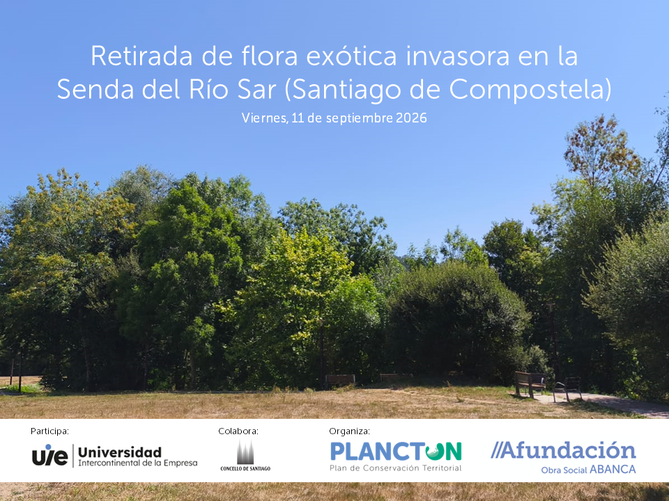 PLANCTON 2026. Retirada de Tradescantia fluminensis en las orillas del Sar, en Santiago de Compostela, con los miempros de la comunidad educativa de la UIE.
